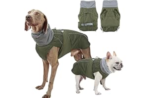 FePen Manteau Chien Hiver, Manteau Chien Imperméable, Veste de Chien Imperméable pour Petit Moyen Grands Chiens, Manteaux d'hiver pour Chiens, Doux et Chaud - Coupe-Vent - pour Temps (Green, XL)