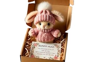 KOUAMOR 4 Colors Mini Bunny Hug Cute Easter Gift, Mini Bunnies, Minis Rabbits in Box, Emotional Support Positive Crochet Bunny, Handmade Plush Pocket Hug Rabbit Doll, for Kids Family Friend (pink)