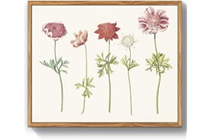 MHARTK66 Quadri Vintage Botanico Soggiorno con Cornice Legno, 30x40 cm Stampe da Parete Anemoni Windflowers Fiori Illustrazione, Quadro Camera da Letto Su Tela Decorazioni Parete Desktop Arte Bagno
