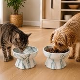 2 Li Seramik Mama Kabı Kedi ve K&ouml;pekler i&ccedil;in Sağlıklı Su Kasesi Marble Ayaklı,Y&uuml;kseltilmiş,Boyun Rahatligi Ve Omurga Sagligi 