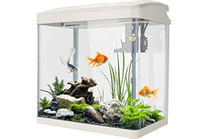 BETROME Fish Tank, 17L Glass Aquarium with Filter System, LED Lights, Water Pump, Betta Fish Tank for Goldfish, Shrimps, White