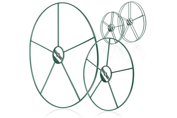 COM-FOUR® 6X Porte-Fleurs et vivaces - Support de buisson Rond en Deux Tailles - Support de buisson pour Fleurs, vrilles et Plantes vivaces