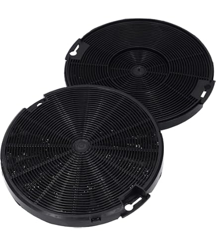 VIOKS Set van 2 koolstoffilters voor afzuigkap, diameter 160 mm, vervanging voor Amica actieve koolfilter 1160826 & KF17146 - actieve koolfilter voor