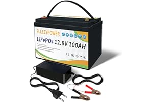 FLLEEYPOWER 100Ah 12V Akumulator litowo-żelazowo-fosforanowy, Deep Cycle 8000 cykli Li-Ion, 10 lat żywotności, wbudowany inteligentny 100A BMS, do instalacji solarnych, łodzi, kamperów, kempingów