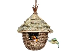 Luoji Nichoir À Oiseaux Extérieur, Roseau Sec Voliere Oiseaux Exterieur Maison Oiseaux Suspendue, Cabane Oiseaux pour Hirondelle, Moineau, Colibri, Rouge-Gorge, 15 X 19 CM