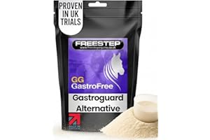 FREESTEP GG GastroFree – 4-Week Hindgut Treatment for Horses | Fast-Acting Gut Support | Natural, Vet Approved & FEI Compliant | Molasses-Free Powder