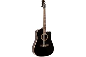 Fazley W65-BK Acoustic Guitar (Black)
