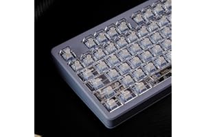 Sumgsn Lot de 114 Touches Transparentes pour Clavier mécanique Cherry MX 60%, 65%, 75%, 95% - Profil Cherry - Blanc et Transparent