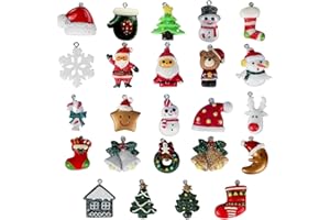 BLUELVES Navidad Colgante Decoración, 24 Piezas Mini Adornos Navideños, Resina Papá Noel Árbol de Navidad Muñeco de Nieve Reno, Miniaturas Navidad Colgantes para DIY