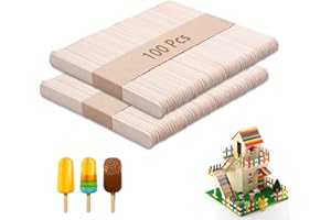 zoerbufan Lot de 100 bâtonnets en bois - Bâtons de glace en bois - Pour travaux manuels et bâtonnets de glace - Pour enfants - 114 mm x 10 mm x 2 mm