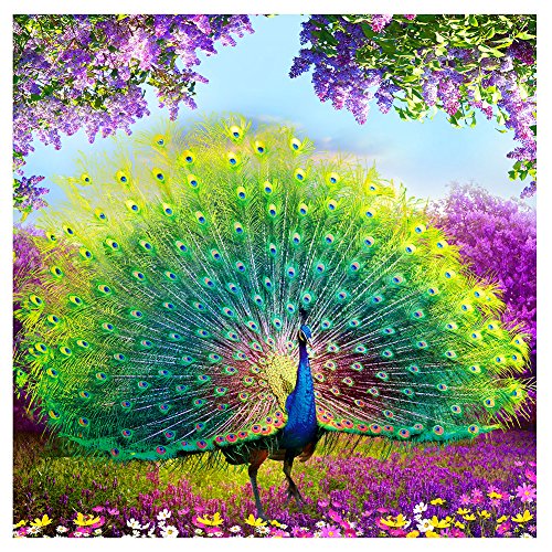 Amazingdeal365 Motiv-Pfau Blüte 5D DIY Diamond Stickerei Malerei Kreuzstich für Balkon,Terasse,Café,Kinderzimmer,Wohnzimmer, Schlafzimmer, Arbeitszimmer usw.