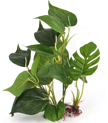 Hobby Vallisneria, 46 cm : Amazon.de: Haustier