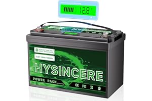 HYSINCERE Batteria LiFePO4 da 12 V 100Ah con indicatore LED, 100A BMS, 1280 Wh, 4000 – 15000 cicli, batteria al litio Deep Cycle per camper, energia solare, motore trolling, accumulo di energia