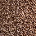 Koi Growth Pellets Floating - Pond Fish Food Carp Goldfish Coldwater Chub Grower (Large Pellet Size (6mm), 1.8kg)
