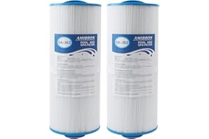 AMIBRON 5CH-352 Remplace le filtre Marquis Spa, compatible avec PPM35SC-F2M, FC-0196, Marquis 35, Marquis Spa 20042, 20092, 70-0240, 370-0242, 370-0243, filetage mâle fin de 5,1 cm Lot de 2 filtres
