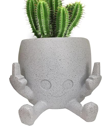 Pot De Fleurs Souriant, Pots De Fleurs Amusants Pour L'intérieur, Pots