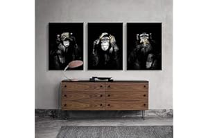 XIANGPEIFBH Affiche Toile Peinture Animal Mur Art foncé 3 drôle Singe Affiche et Impression pour Salon décor à la Maison oeuvre 40x60cmx3pcs sans Cadre