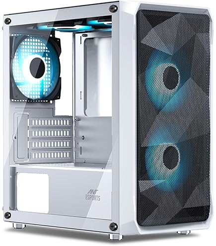 Amazon.in: Buy RAIJINTEK METIS Plus White, Alu. Mini-ITX PC Case