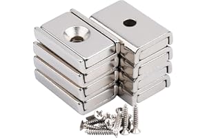 MIN CI Pack of 8 Magnets Strong Large 20 x 13.5 x 5 mm Neodymium Magnets Extra Strong Magnets Screwable Flat Magnets with Hole Magnetic Closure Countersunk Magnet for Screwing on Pot Magnet Door