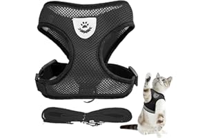 Yeesabella S Cat Kitten Harness and Leash Set, Adjustable Cat Dog Harness, Escape Proof Vest Harnesses for Walking, Breathable Cat Harness for Small Cats Pets with Leash Set
