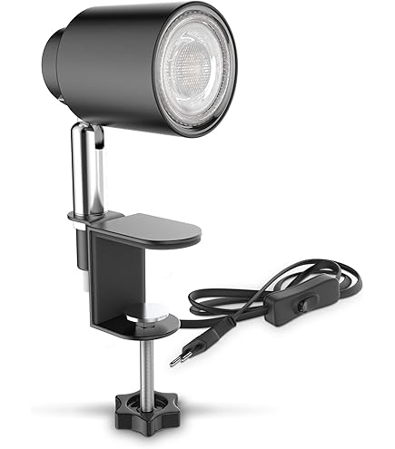 LED