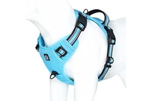 WALDSEEMÜLLER Harnais Chien Anti Traction, Réfléchissant Harnais De Chien Réglable Décourager Tirer Pet Gilet Durable en Nylon Harnais pour Chiens Moyen et Grand