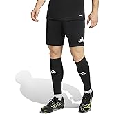 adidas Entrada26 Shorts Şort Erkek