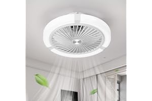 LOKUNM Ceiling Fans, 18In Ceiling Fan Light Multi Speed Dimmable Ceiling Fans with Lights and Remote 3 Color Enclosed Fan Light Ceiling for Bedrooms,Dining Room