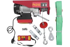 Donened - Electric Hoist Lift, 250kg/551.16lbs Overhead Electric Hoist, 220V Electric Winch with Remote Control & Lifting Straps, Single/Double Lifiting, for Warehouses Factories Lifting (250kg Red)