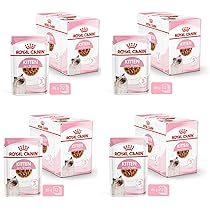 Royal Canin Kitten Nassfutter | 4er Pack | 4 x 12 x 85g | Feine Stckchen  in Soe | Alleinfuttermittel fr Kitten| Speziell fr Katzenwelpen ab der  zweiten Wachstumsphase bis zum 12. Monat : Amazon.de: Haustier