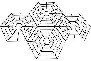 Bretoes Filet de Protection d'étang, Couverture de Filet en Plastique Flottant sur l'eau pour Protéger l'étang des Hérons, des Chats et d'autres Prédateurs (10)