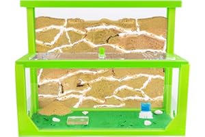 AntHouse - Fourmilière Naturelle en Sable 3D | Kit L (Sandwich + Caisse de Fourrage) | Ferme de Fourmis Vert | Colonie de Fourmis Incluse