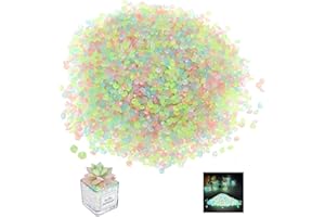 DINGFENG Leuchtsteine Edelsteine für Kinder, 10000 Stück kieselsteine Leuchtsteine Garten,Muggelsteine Glassteine Gartendeko,Bunt Diamant,Edelsteine,Leuchtende Steine für Kinderzimmer,Aquarium Deko,Vasenfülle