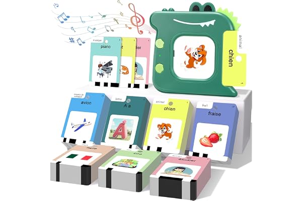 420 Cartes Éducatives Parlantes, Jeu de Cartes Flash Montessori Français, Jeux Educatif Pédagogique avec Sons pour Jouet Enfants 3-6 Ans, pour Apprentissage Préscolaire 10 FR Chansons