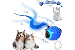 DAMIGHT Katzenspielzeug Elektrisch Katzenball, Interaktives Katzenspielzeug Ball, Automatischer 360 Grad Rollball Hundespielzeug mit LED-Licht, USB Wiederaufladbarer Power Katzenball für Katzen Hund (B)