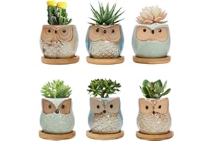 FORAGIFT Owl Succulent Pots, 6CM Cute Owl Cactus Pots Animal Small Plant Pot with Drain Hole and Bamboo Tray, and Great for Home Office Decor, Set of 6 (Plants Not Included)