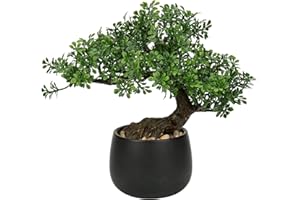 ‎OAIRSE Oairse 25 cm Kunstpflanze Bonsai Baum im Keramiktopf Künstliche Pflanzen Aesthetic Japanische Bonsai Deko für Wohnzimmer Schlafzimmer Badzimmer Fensterbank Dekoration - Podocarpus Kunstbonsai
