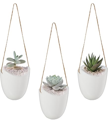 KAZAI. Wandplanters Lille | Hangende Bloempotten in Massief Houten Frames | Plantenhouder Set van Keramiek en Hout voor Muren, Tafels en meer | Walnoot Bruin