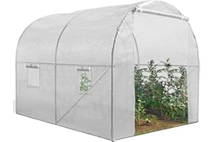 IDMarket - Serre Tunnel de Jardin 6M² Blanche Gamme maraîchère Roma 2x3M