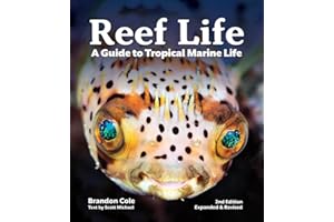 Reef Life: A Guide to Tropical Marine Life