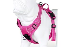 MOKCCI Truelove Soft Front Dog Harness .Reflective No Pull Harness with Handle and 2 Leash Attachments
