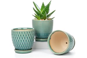 Oairse Juego de 3 macetas de cerámica, macetas suculentas Redondas pequeñas con Orificio de Drenaje y Cuenco de cerámica para Cactus suculentos en Interiores, diámetro 11,2cm