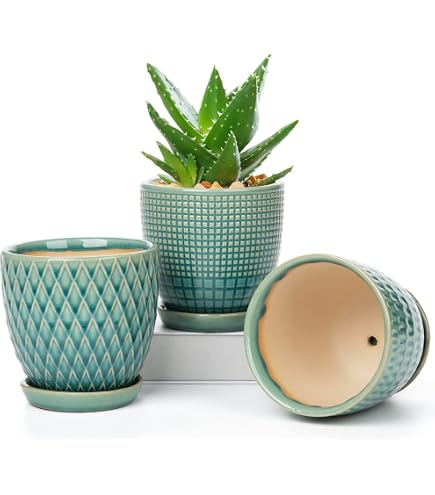 OYOY Living Toppu Pot Small  Stilvoller Blumentopf und bertopf aus  Keramik in Grau/Anthrazit, 15 cm hoch, fr dekorative Akzente : Amazon.de:  Garten