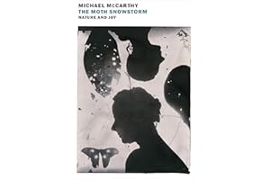 The Moth Snowstorm: Nature and Joy (New York Review Books Classics)