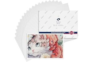 Paul Rubens Papier aquarelle de qualité artistique, papier de peinture sans acide pressé à chaud 7,87 pouces x 5,43 pouces, 100% coton 300 g/m², 20 feuilles, fournitures d'art drawing aquarelle