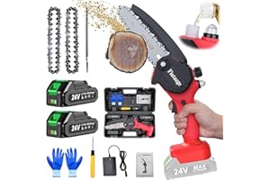 FIUTAZGE Mini Motosega a Batteria, 6 Pollici Motosega a Batteria, Motosega de Potatura con 2 Batterie da 24 V e Caricatore, con Pompa Dell'olio, per Potatura di Alberi e Giardino (Rosso)