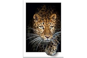 Instarry Fai da Te Diamond Painting Kit 5D Ghepardo Pittura Diamante Decorazioni Quadri Cameretta Soggiorno 90x60 cm