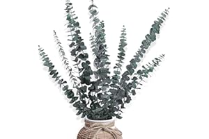 Trockenblumen Set, doerfeell 12PCS Eukalyptus Getrocknet Natürliche Trockenblumen Deko DIY Blumenstrauß für Hause Wohnzimmer Badezimmer Tisch Schlafzimmer Hochzeits