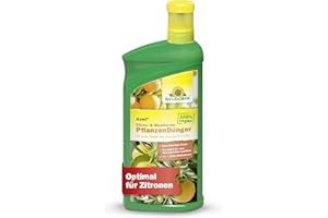 Neudorff Azet Zitrus- & Mediterran PflanzenDünger – 100% natürlicher Bio Dünger mit Extra Eisen für aromatische Zitronen, Orangen & Co