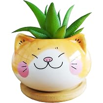 Vaso per piante grasse a forma di gatto, per scrivania da